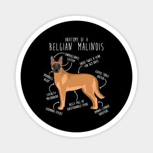 Belgian Malinois Dog Anatomy Magnet